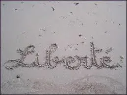 Qui a dit : Ecrire liberté sur le bord d'une plage, c'est déjà avoir la liberté de l'écrire. Même si la mer efface ce mot : la liberté demeure. ?