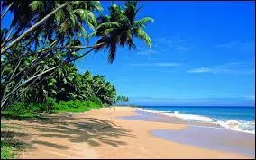 Qui a dit : La gloire, c'est d'abord une belle plage. On se roule dans son sable fin, puis, bientôt, on sent une odeur mauvaise, celle des poissons que les femmes viennent vider sur le bord. ?