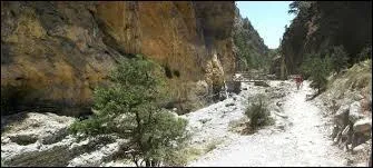 En Crète, quel animal, surnommé « kri-kri », peut-on apercevoir en randonnée dans les gorges de Samaria ?