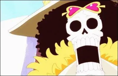 Contre qui se bat-il dans l'arc de Dressrosa sur le Thousand Sunny ?