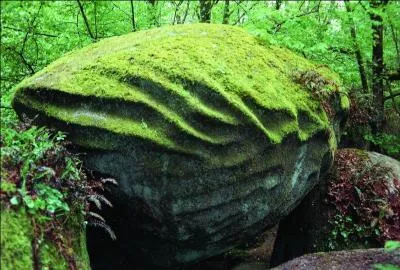 Autrefois chez nous, que voulait dire le verbe s'acoubllàe ?