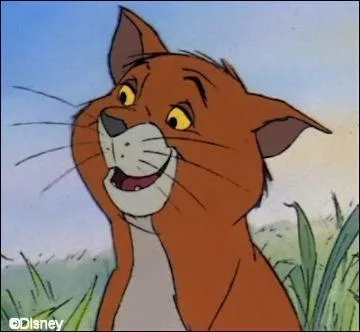 Nom de ce chat de gouttière dans " Les Aristochats " ?