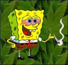 Ça vous dérange que je fume ?