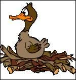 Que sont les demoiselles dans la cuisine gasconne ?