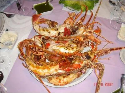 Que sont ces petits homards ?