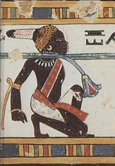 Peuple noir que les anciens auteurs désignaient sous le nom d'éthiopien dans son sens le plus étendu, façon de représenter leur immense territoire :