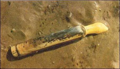 Repérez le trou d'aération que fait ce coquillage. Déposez du sucre dessus et le couteau va vite sortir. Il suffit alors de l'attraper avec la main.