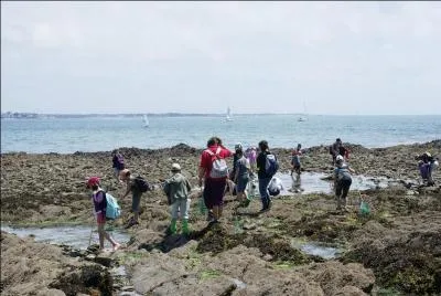 Il existe deux types de zones de pêche à pied.