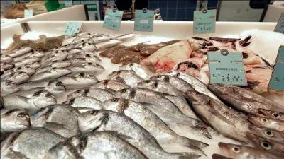 Le produit de la pêche est formellement interdit à la vente.