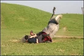 Comment tombe la cavalière ?