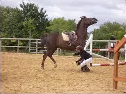 Comment tombe la cavalière ?