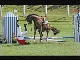 Comment tombe la cavalière ?