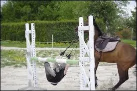 Comment tombe la cavalière ?