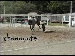 Comment tombe la cavalière ?