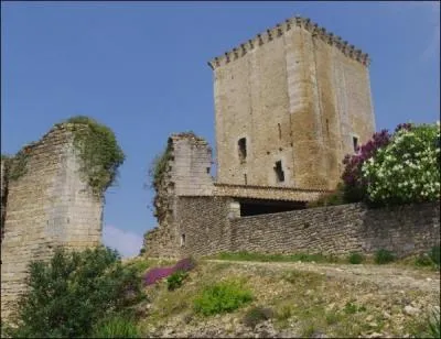 Les communes qui fusionnent peuvent obtenir des aides de l'Etat plus importantes. Dans la Vienne, quelles communes discutent d'une &eacute;ventuelle fusion ?