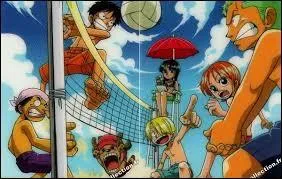 Robin, Nami, Ussop, Zoro, Luffy, Sanji et Chopper se font un match de _______ à la plage.