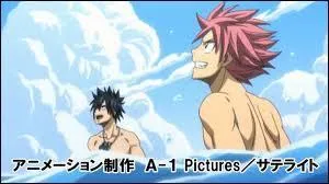 Natsu et Grey adorent...