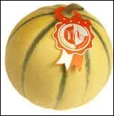 Pendant ce temps, ma femme et ma fille sont allées au marché acheter quelques produits d'été : crevettes, poissons et melon de __________.