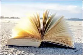 Pendant ce temps-là, ma fille a continué la lecture de son livre "La Plage", mais qui en est l'auteur ?