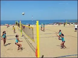 Mon fils, lui, s'est déjà fait des amis et ils se sont organisés une partie de beach-volley. De quelle nationalité sont les champions du monde de ce sport ?