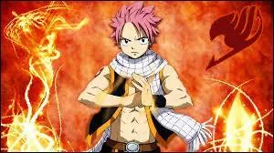 Qui est-ce et de quel manga vient ce personnage ?