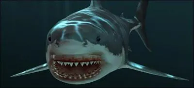 La phobie ou la peur des requins.