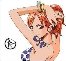 Quelle est l'occupation de Nami ?