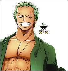 Quelle est l'occupation de Zoro Roronoa ?