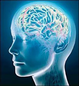 Quelle est cette forme de folie caractérisée par une alternance de mélancolie et d'accès maniaques ?