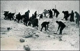 Dans quel pays trouvait-on des camps appelés "Goulag" ?