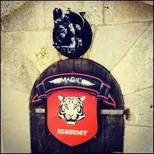 Quel humoriste et magicien a rejoint la "Boyard Academy" ?