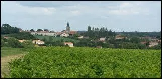 Village viticole des Pays-de-la-Loire, Pissotte se situe dans le département ...