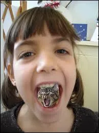 Trouvez l'expression grâce à l'image !