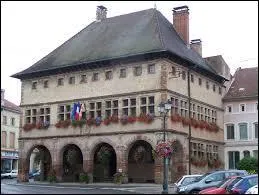 Nous faisons quelques kilomètres et nous arrivons à Rambervillers. Connue pour sa tête de veau, elle se situe dans le département ...