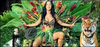 Musique - "Rated R" est le quatrième album de Katy Perry.