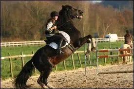 Que faut-il faire en cas de cabrement ?