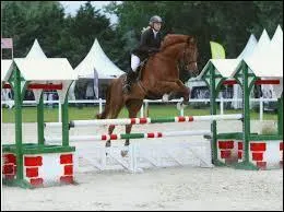 Que faut-il faire en cas de cassement de barres d'obstacle ?