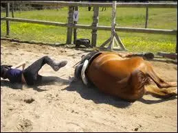 Que faut-il faire en cas de chute avec le cheval ?
