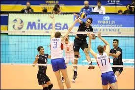 Lequel de ces hommes n'a pas remport&eacute; une m&eacute;daille d'or dans les comp&eacute;titions de volley-ball ?