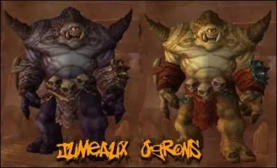 Quels sont les noms des ogrons jumeaux ?