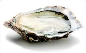 Il se trouve dans toutes les mers. Qui est-il ?