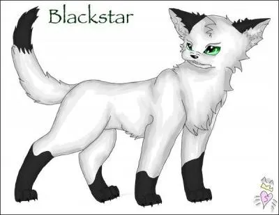 Comment s'appelle le chef du Clan de l'Ombre ? (après le Grand Périple)