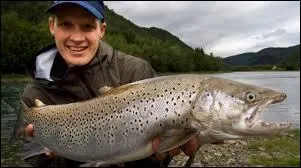 Trouvez le nom de ce poisson faisant partie de la famille des salmonidés !