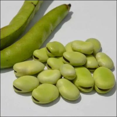 Quels légumes, pouvez-vous voir sur cette images ?