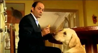 Je sais, mais je n'ai pas pu m'en empêché, tellement j'adore ce film. Quel est le prénom du Labrador ?