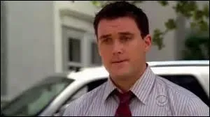 Je suis Owain Yeoman dans la s&eacute;rie "The Mentalist", je joue le r&ocirc;le de...