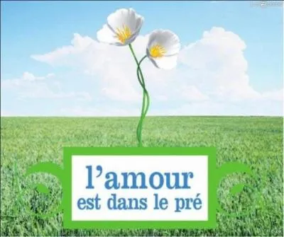 Qui présente l'émission "l'amour est dans le pré ?
