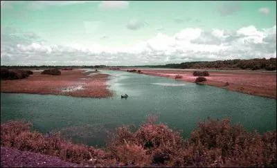 Où coule ce long fleuve nommé "Amour" ?