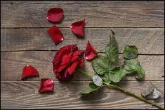 Qui est l'auteur du poème "Il n'y a pas d'amour heureux" ?