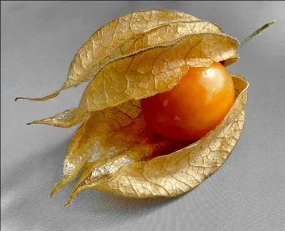 Quel est l'autre nom du physalis ?